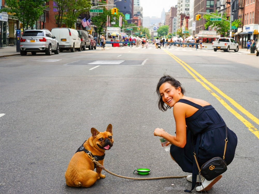 Sfrutta le passeggiate per addestrare il tuo cane