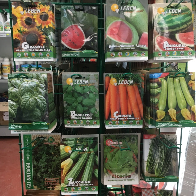 LEBEN Semi da Orto, Fiori, Prato