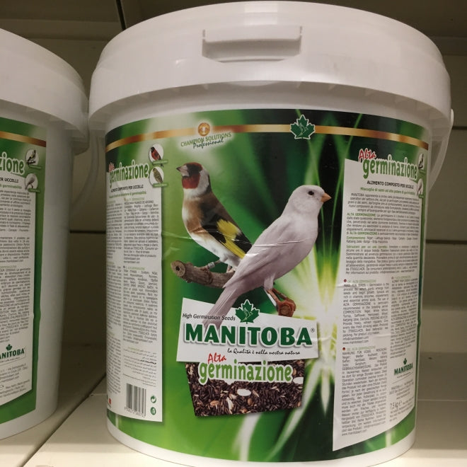 Peosaard Multa per Uccelli Porta di Semi appesi per Alimenti per Uccelli Contenitore Forniture di plastica Automatica per Uccelli Selvatici all' aperto, mangiatoia per Uccelli da Esterno Peosaard Multa per Uccelli Porta di Semi appesi per Alimenti per Uccelli Contenitore Forniture di plastica Automatica per Uccelli Selvatici all' aperto, mangiatoia per Uccelli da Esterno