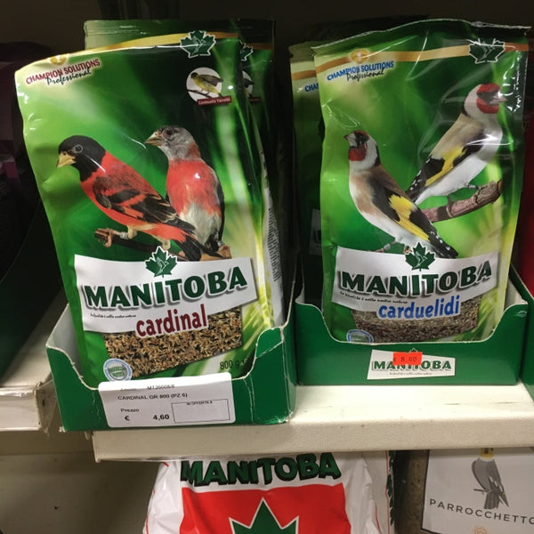 Multa per uccelli montati a parete, alimentazione per