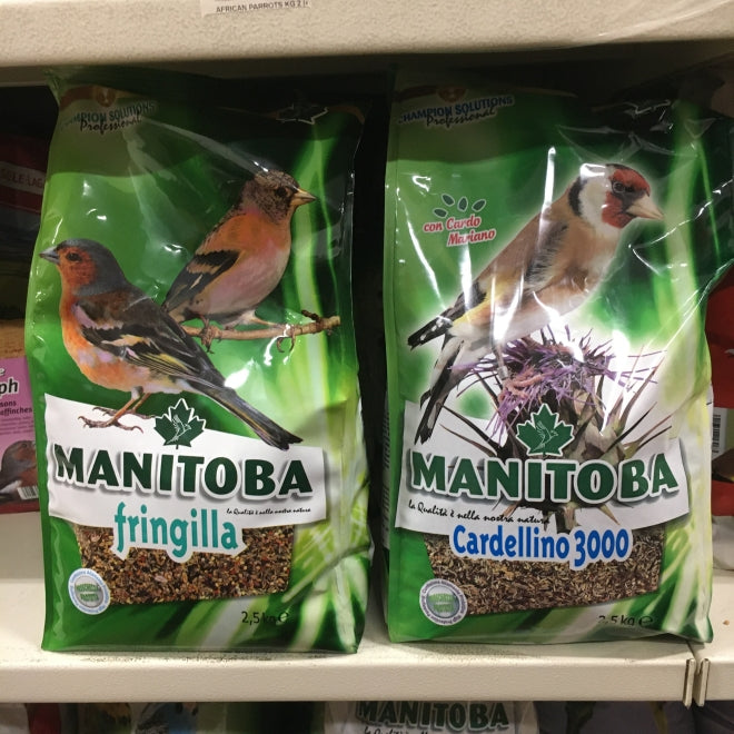 Mangiatoia Automatica Per Uccelli In Plastica Trasparente - Alimentatore A Ventosa Per Gabbie | Verde - Foto 3